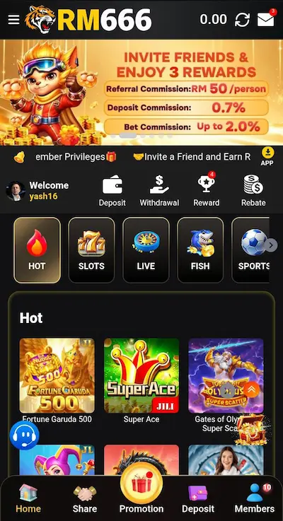 RM 666 Game Dashboard image